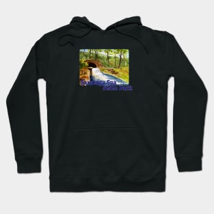 Saratoga Spa State Park, New York Hoodie